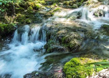 agua