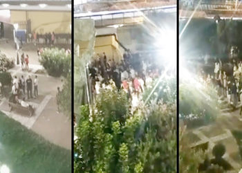 botellon-paseo-palmeras