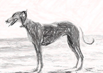 dibujo-perro