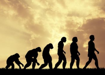 evolucion-ser-humano