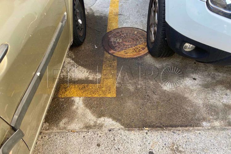 orina-perros-odonnell-5