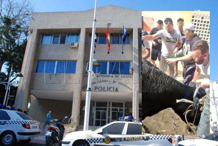 policia-local-sacrificio-vaca
