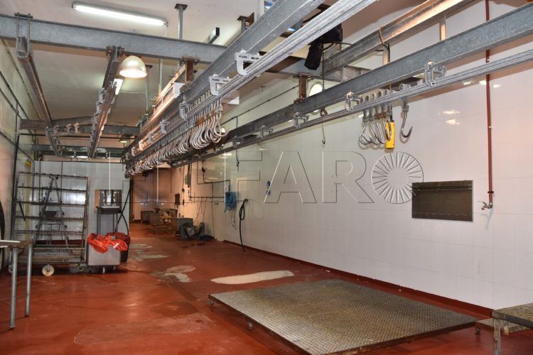 preparacion-matadero-pascua-cordero2