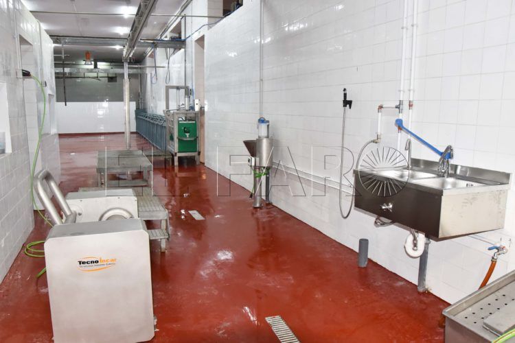 preparacion-matadero-pascua-cordero9