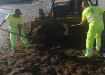 retirada-algas-playas-2