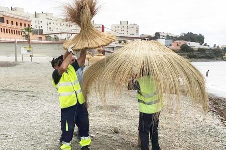 sombrillas-hawaianas-1