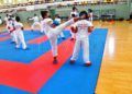 clinic-karate-guillermo-molina24
