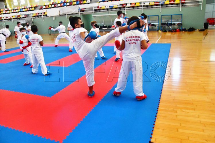 clinic-karate-guillermo-molina24