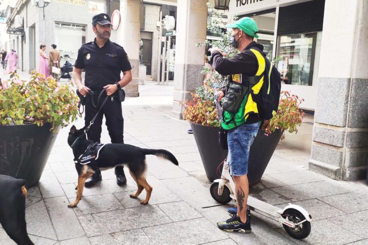 guias-caninos-policia-nacional-ciudad26