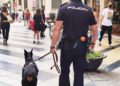 guias-caninos-policia-nacional-ciudad27