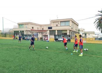 polillas-pretemporada
