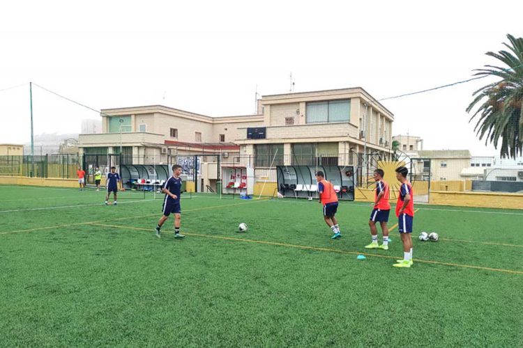 polillas-pretemporada