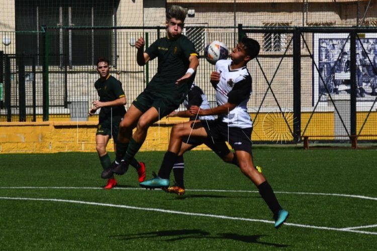 cd-polillas-cordoba-013