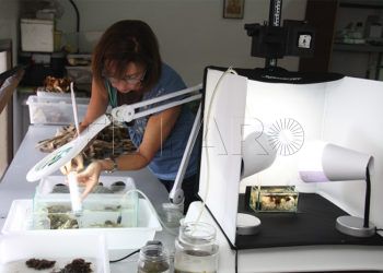 centro-investigaciones-subacuaticas