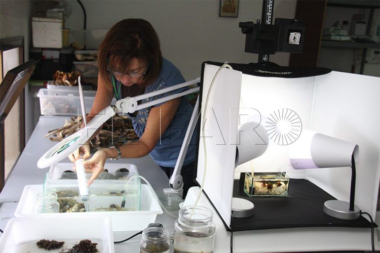 centro-investigaciones-subacuaticas