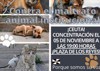 protesta-maltrato-animal