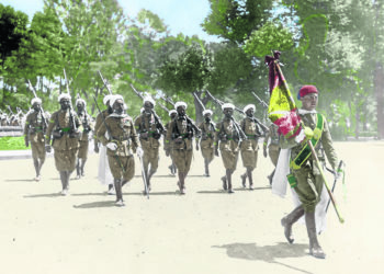 bandera-regulares-articulo-opinion