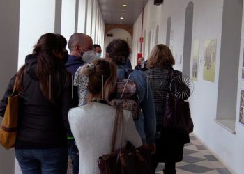 exposicion-comic-paco-roca-016