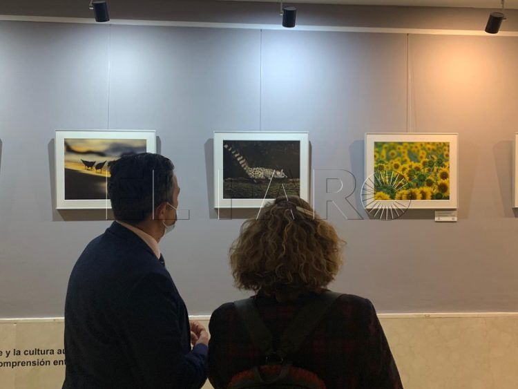 exposicion-fotografias-exposicion-005