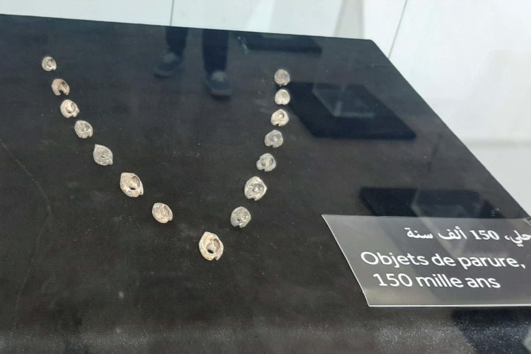 EFE/ Fátima Zohra Bouaziz