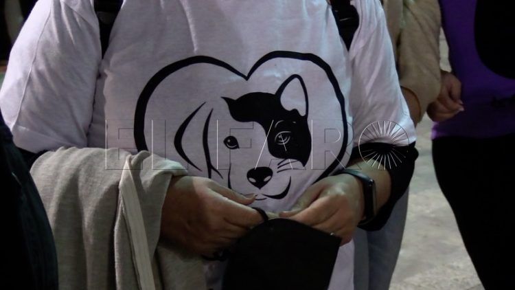 manifestacion-defensa-animales-003