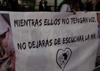 manifestacion-defensa-animales-008