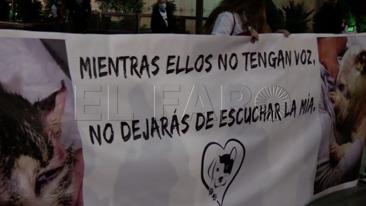 manifestacion-defensa-animales-008