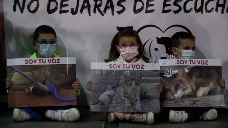 manifestacion-defensa-animales-011