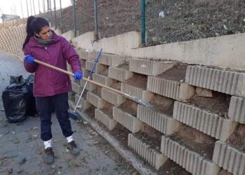 medio-ambiente-brigadas-verdes-limpieza-desinfeccion-008