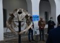 museo-mar-presentacion-esqueleto-ballena-019