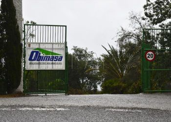 obimasa