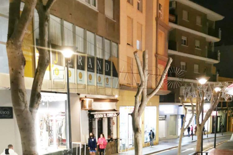 pajaros-sin-hogar-poda-arboles-calle-cervantes5