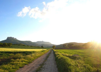 paseo-campo