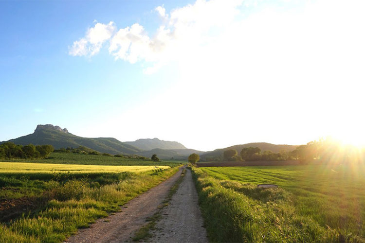 paseo-campo