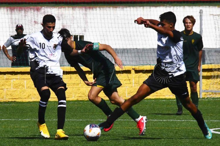 pollillas-sin-victoria