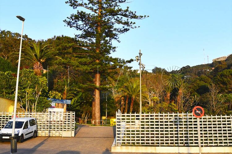 san-amaro-tirolina-1