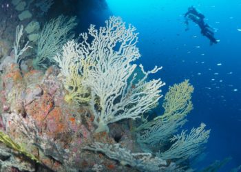 septem-nostra-montaña-invisible-001