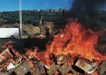 autoridades-tanger-destruyen-drogas-incautadas1