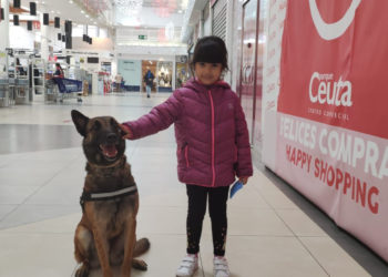 guia-canino-comercio