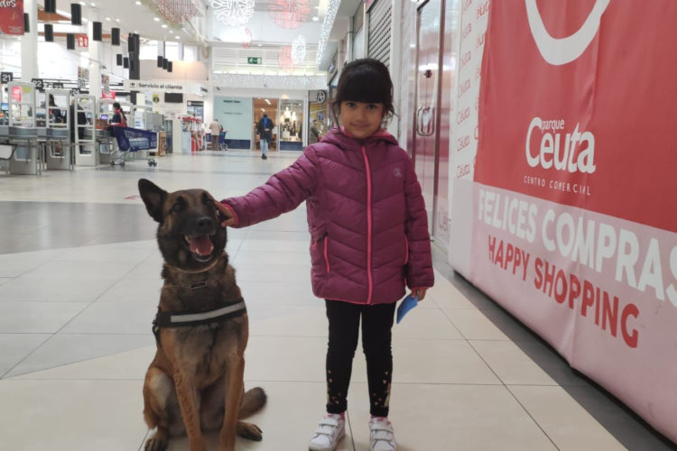 guia-canino-comercio