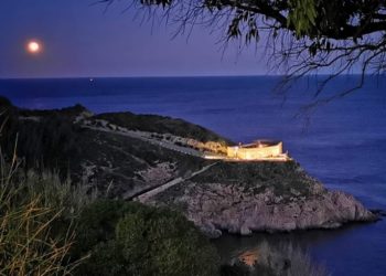 museo-desnarigado-medianoche-noches-blancas-001