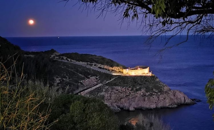 museo-desnarigado-medianoche-noches-blancas-001