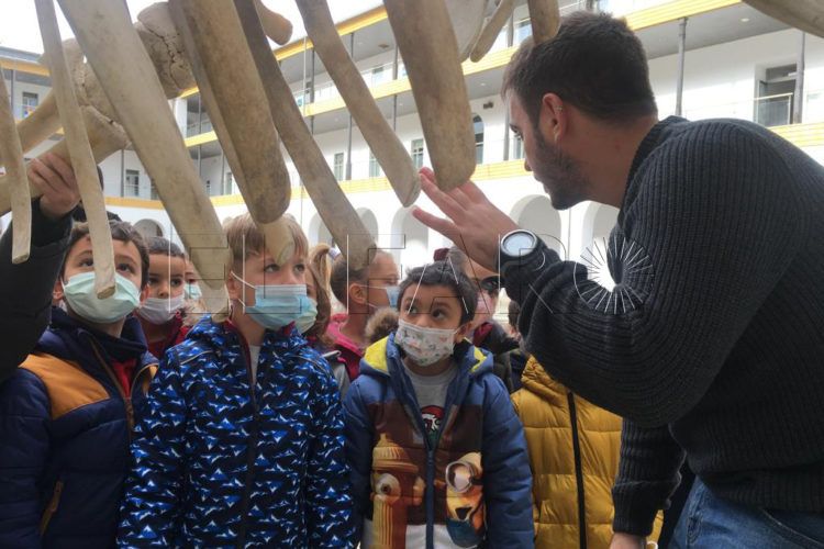 alumnos-mare-nostrum-ballena-campus-2