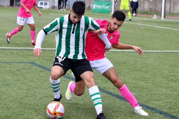 filial-arranca-reparto-puntos