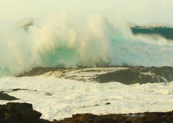 colaboracion-septem-nostra-ola