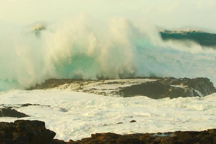 colaboracion-septem-nostra-ola