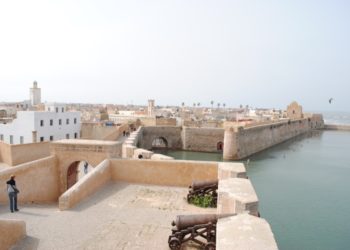 desastre-annual-portugues-antonio-guerra-002