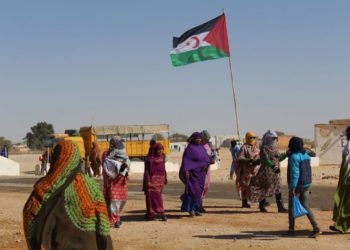 diplomacia-sahara-angel-ballesteros-002