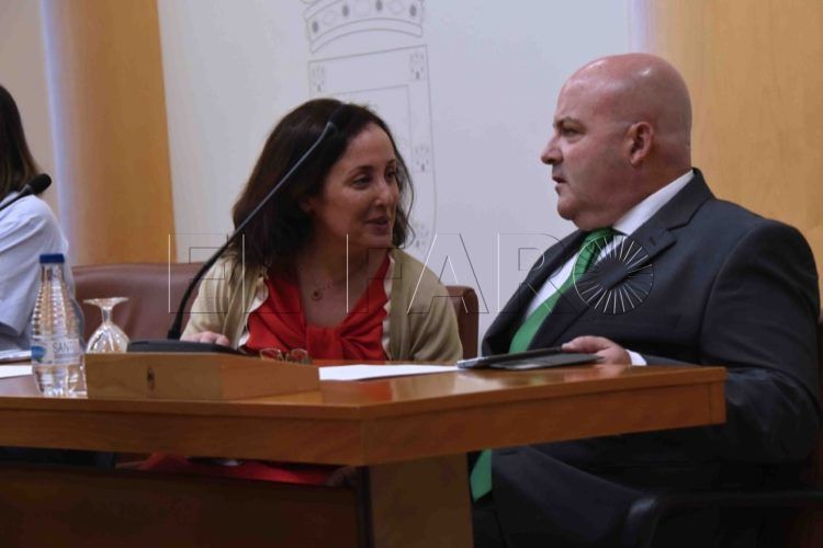 diputados-declarar-tribunales-trato-no-adscritos