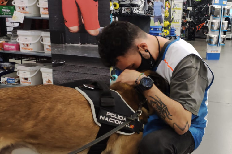 guias-caninos-comercio